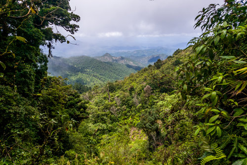 Image result for cerro mogoton